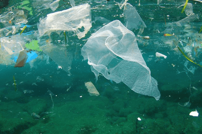 What is The Great Pacific Garbage Patch